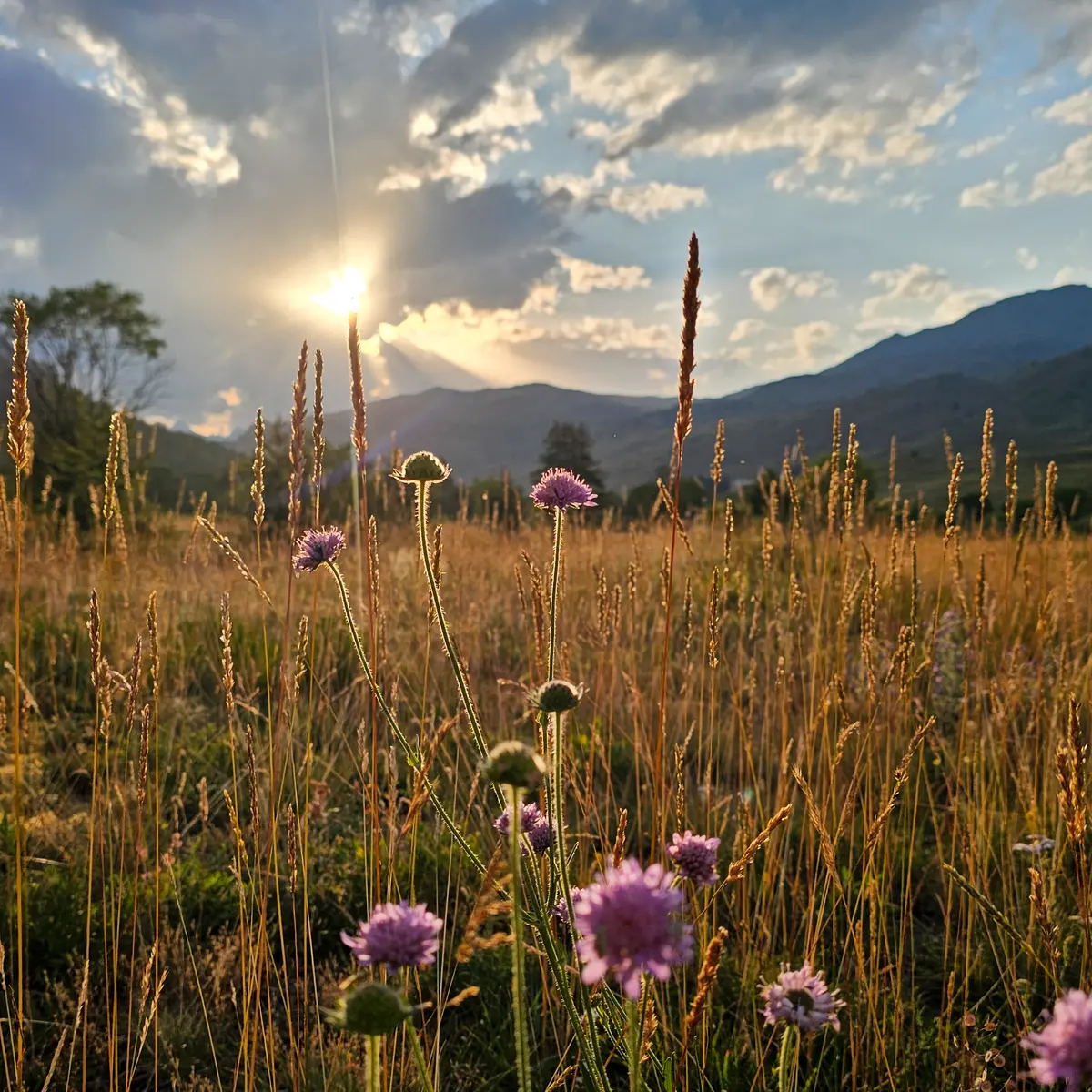 Le Bourget - Cervières