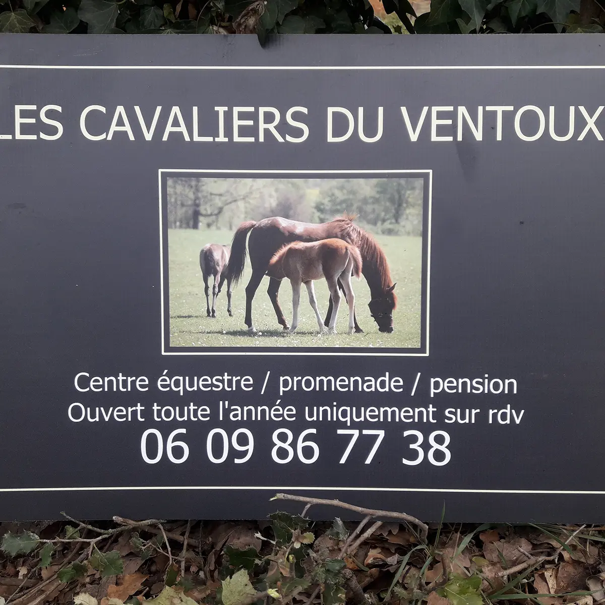 Les Cavaliers du Ventoux