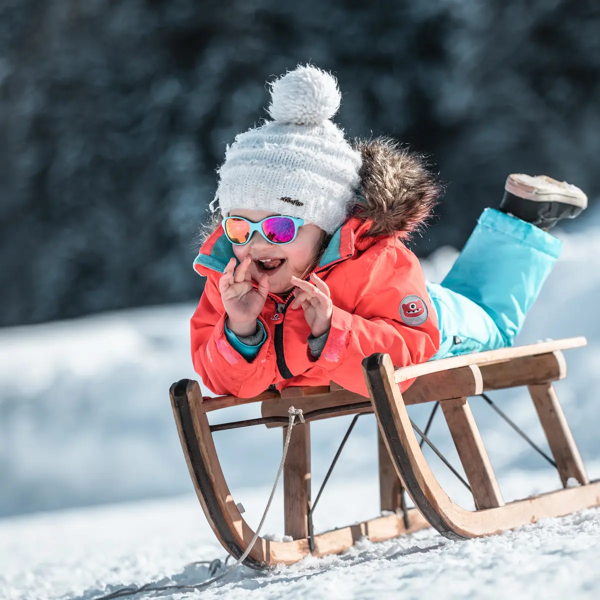 Piste de luge du Borne