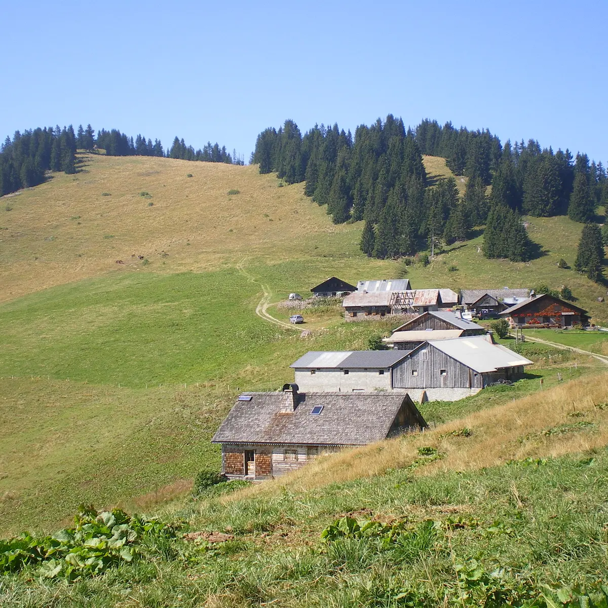 Chalets et Pointe d'Autigny