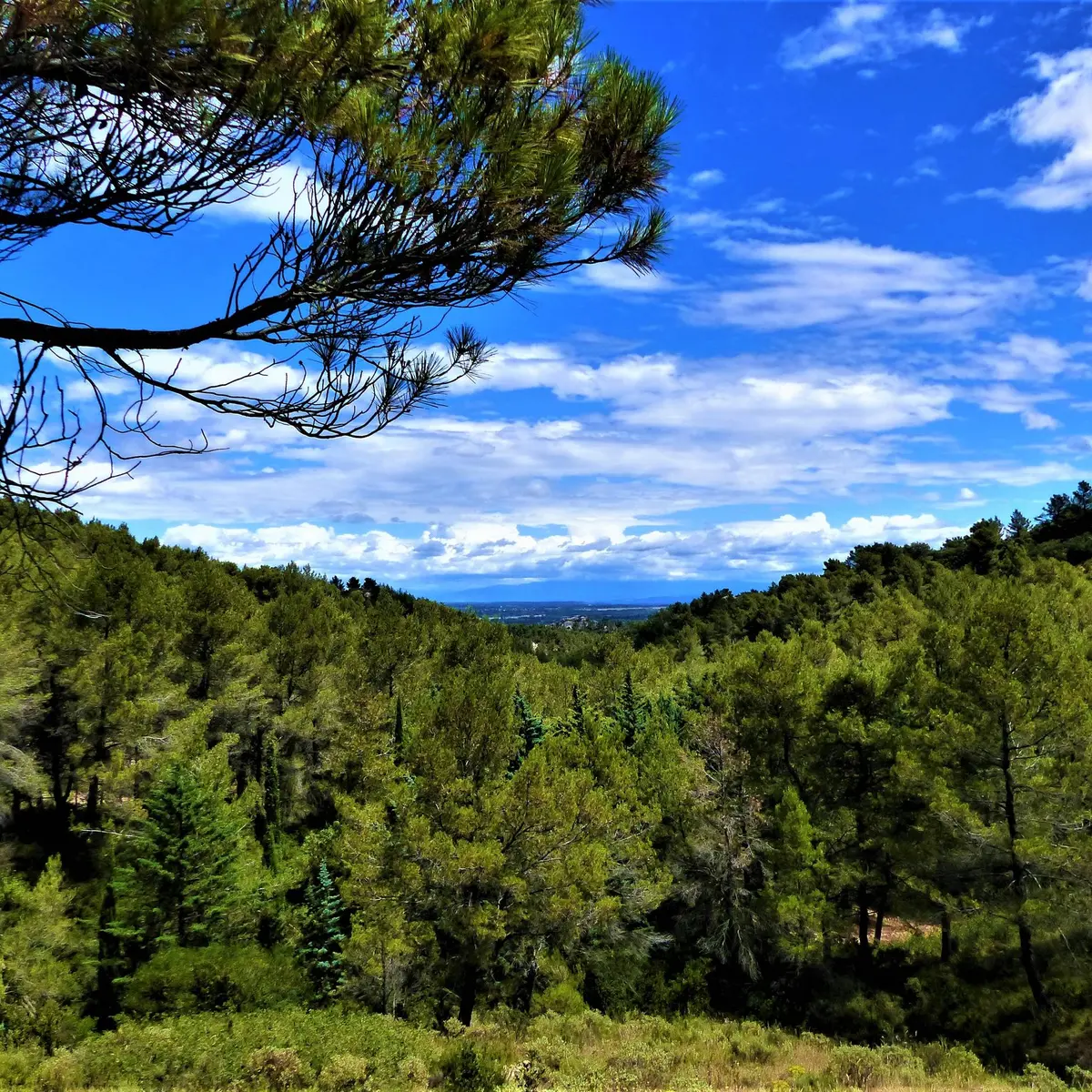 Vue sur le vallon de Valmouirane
