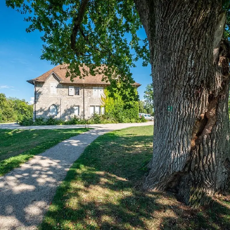 Domaine de Rovorée la Châtaignière