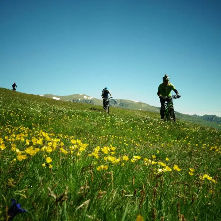 VTT sur le plateau de Beille