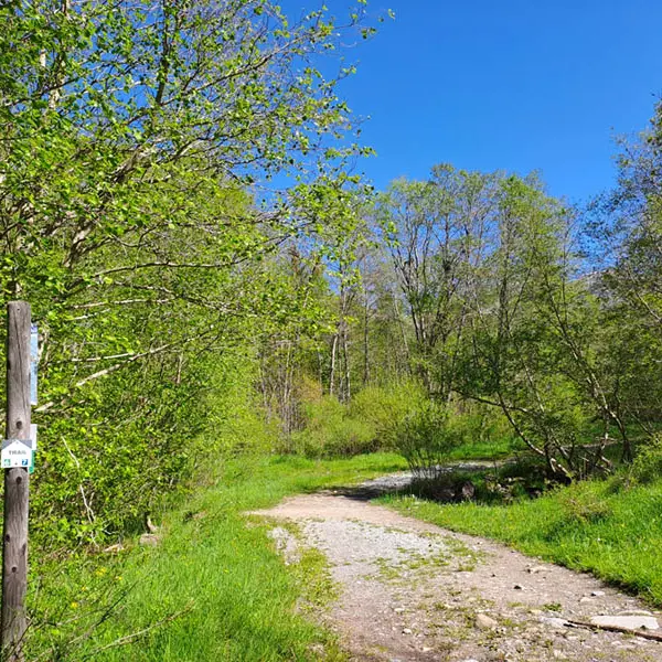 Trail : Le plan - le village_Allos