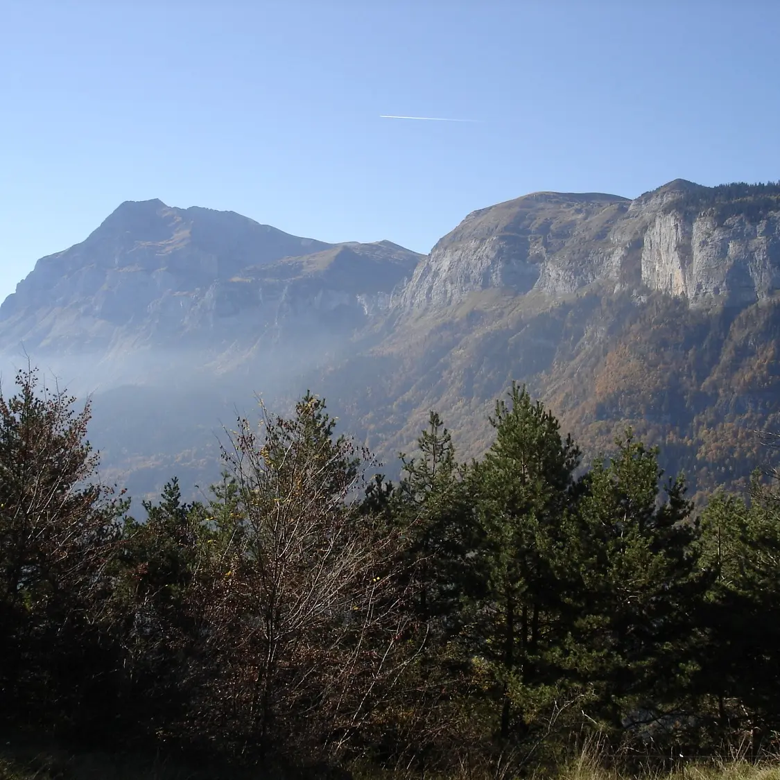 Panorama