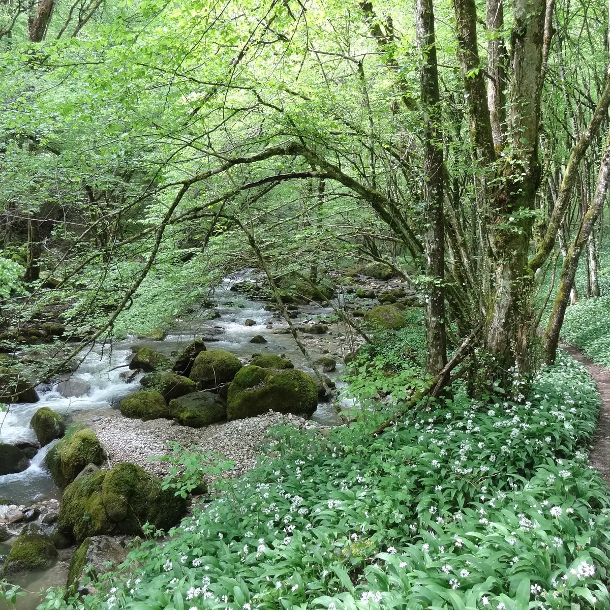 Rives de la Doria