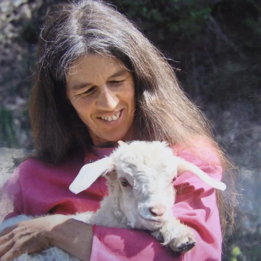 Le Mohair en arc-en-ciel