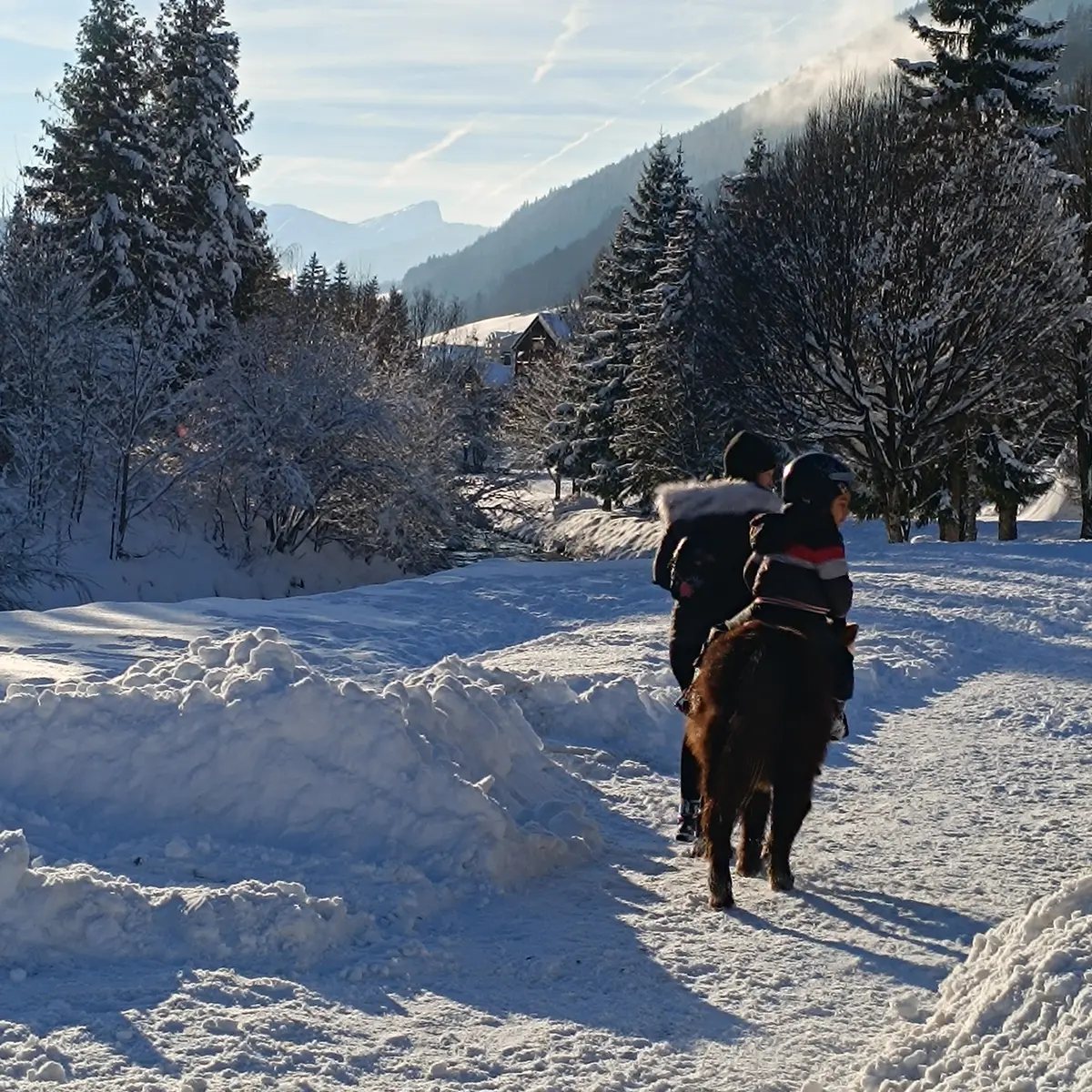 groupe d'enfant à dos de poney