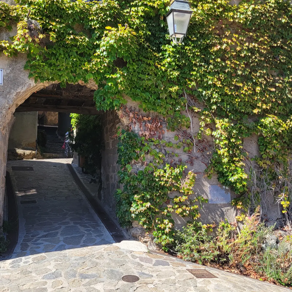 Porte Sarrasine