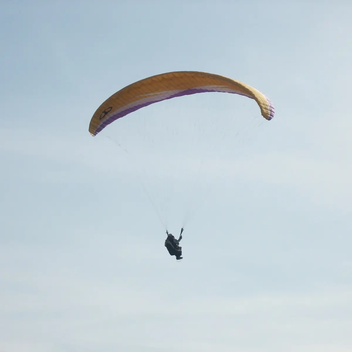 Parapente