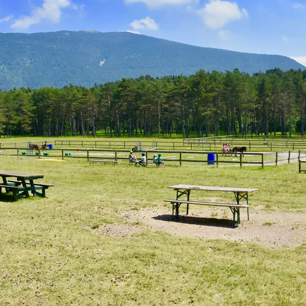 Les abords de la ferme