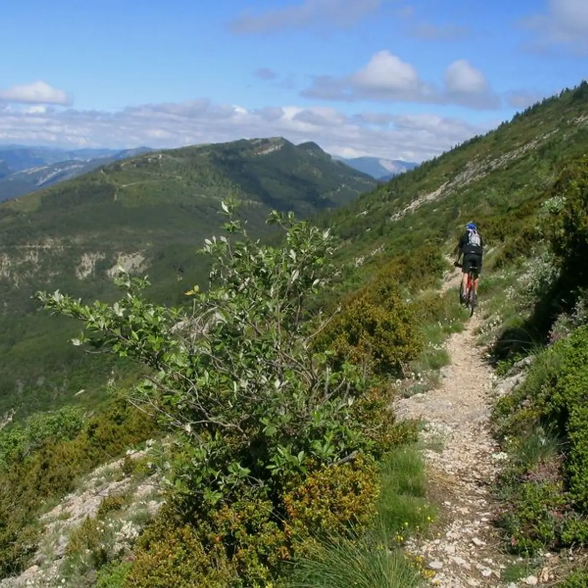 Jolie portion étroite et panoramique