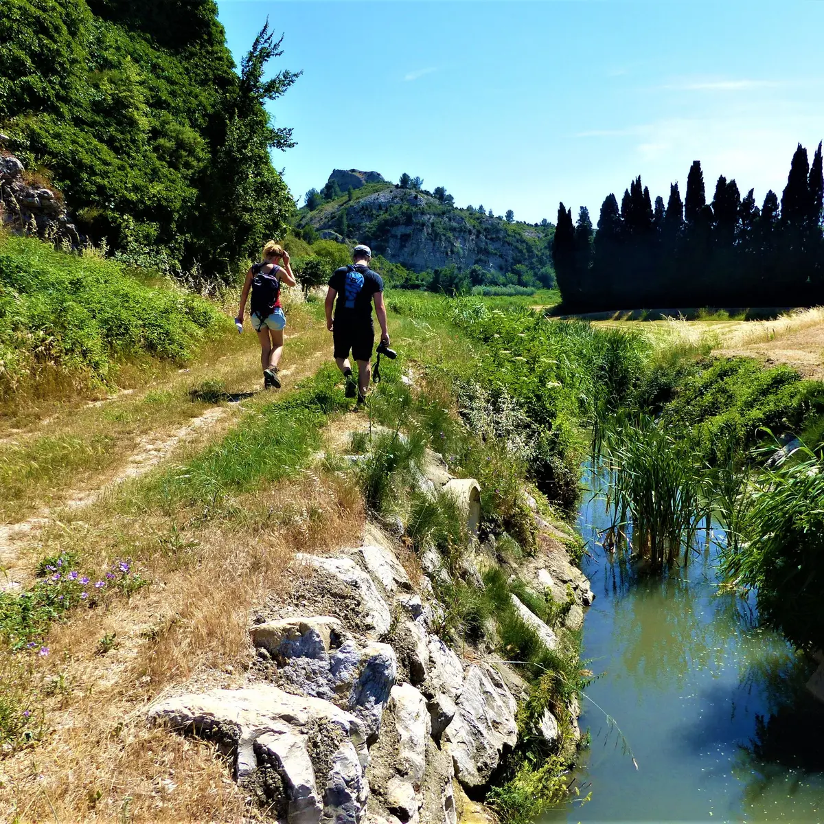 Entre plaine et Montagnette