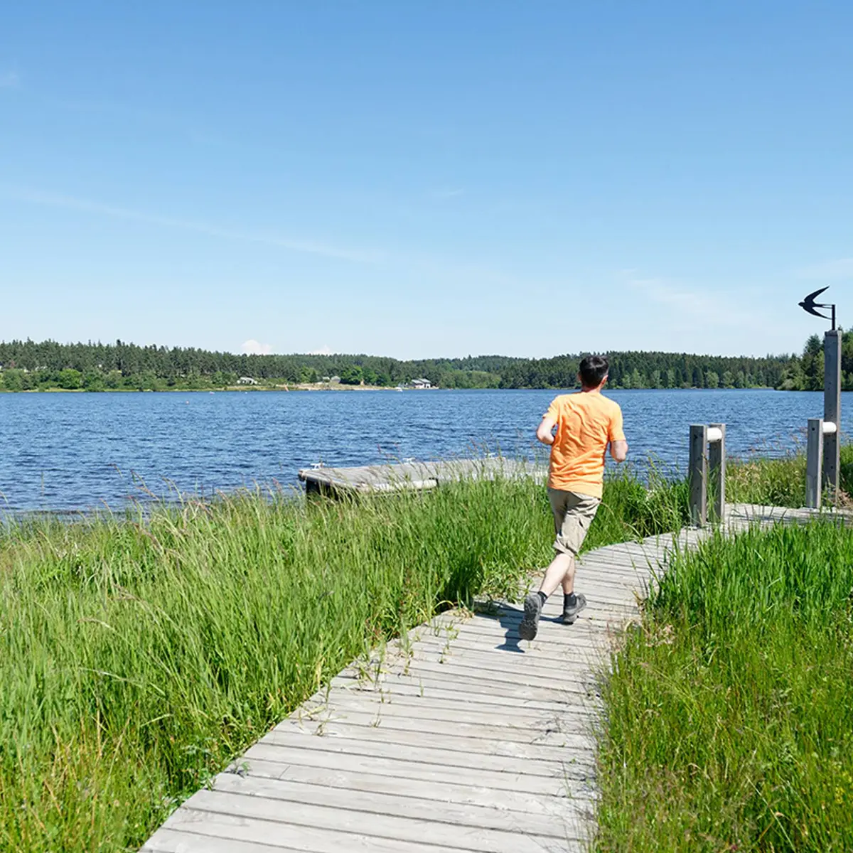 Course au Lac de Devesset