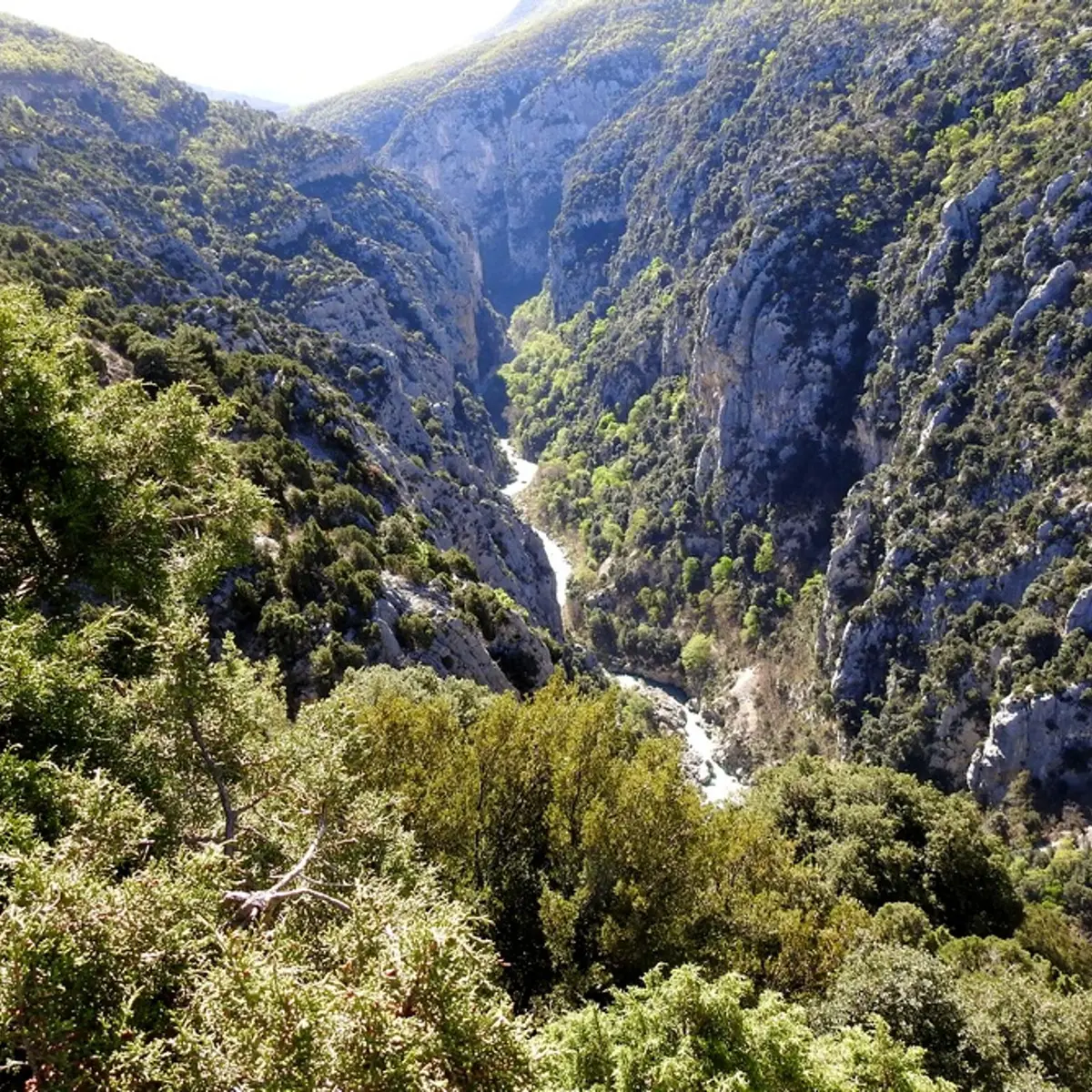 Vue dans les gorges