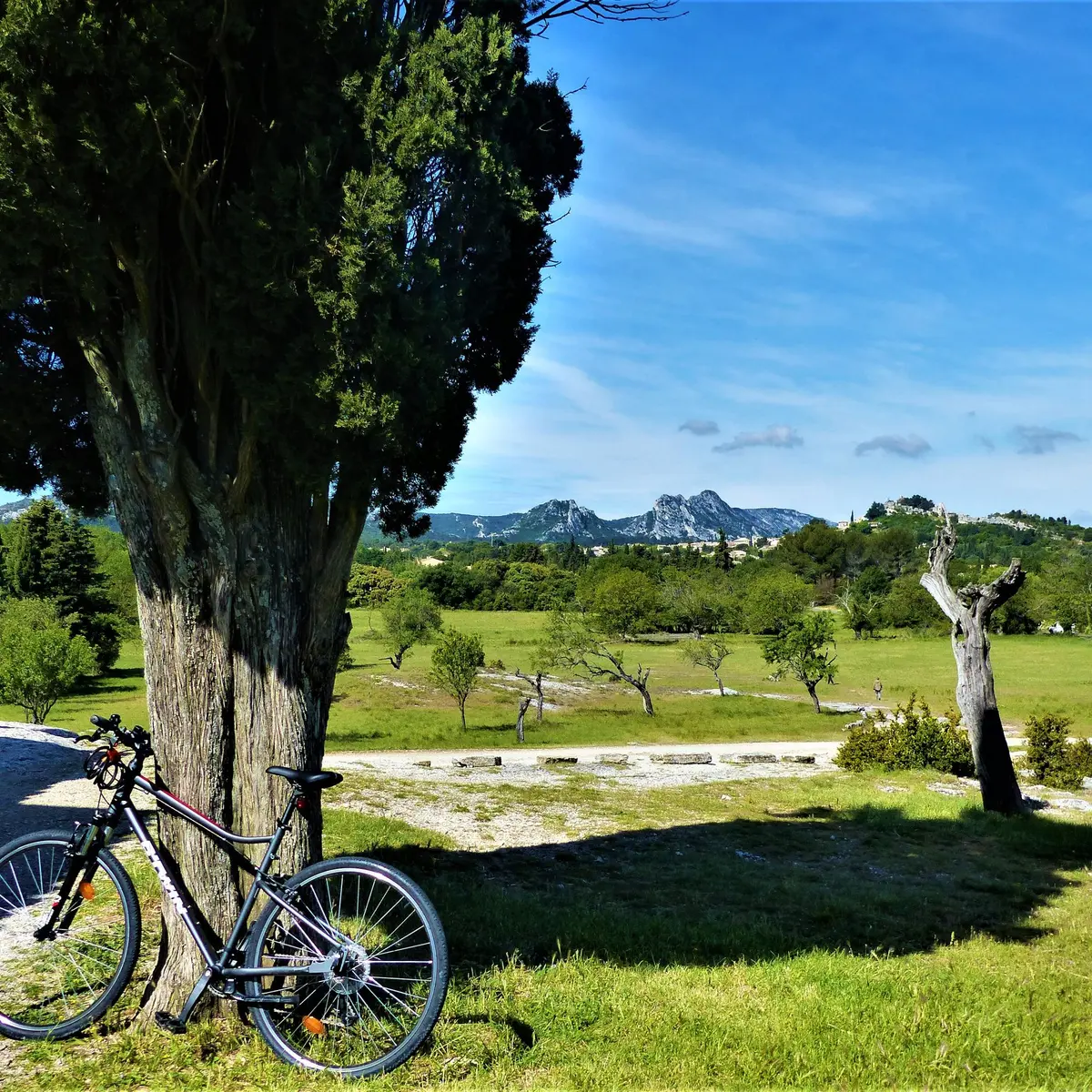 Un paysage de Provence