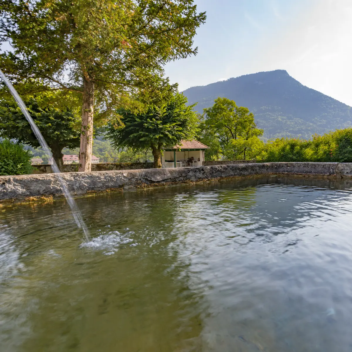 château de Faverges bassin