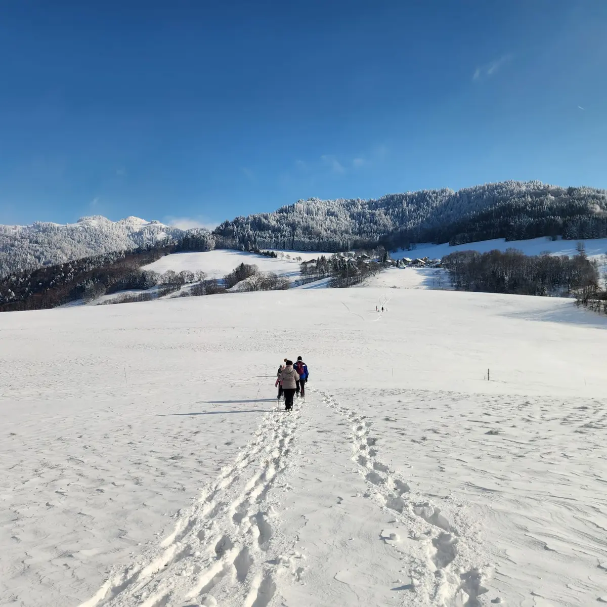 Plateau des Lavouets - bogève