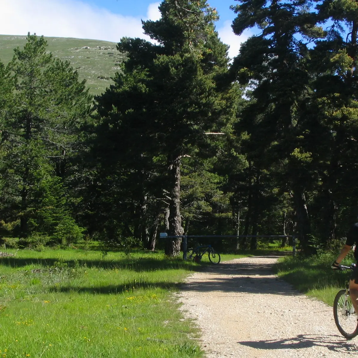 De belles prairies alpines bordent le sentier