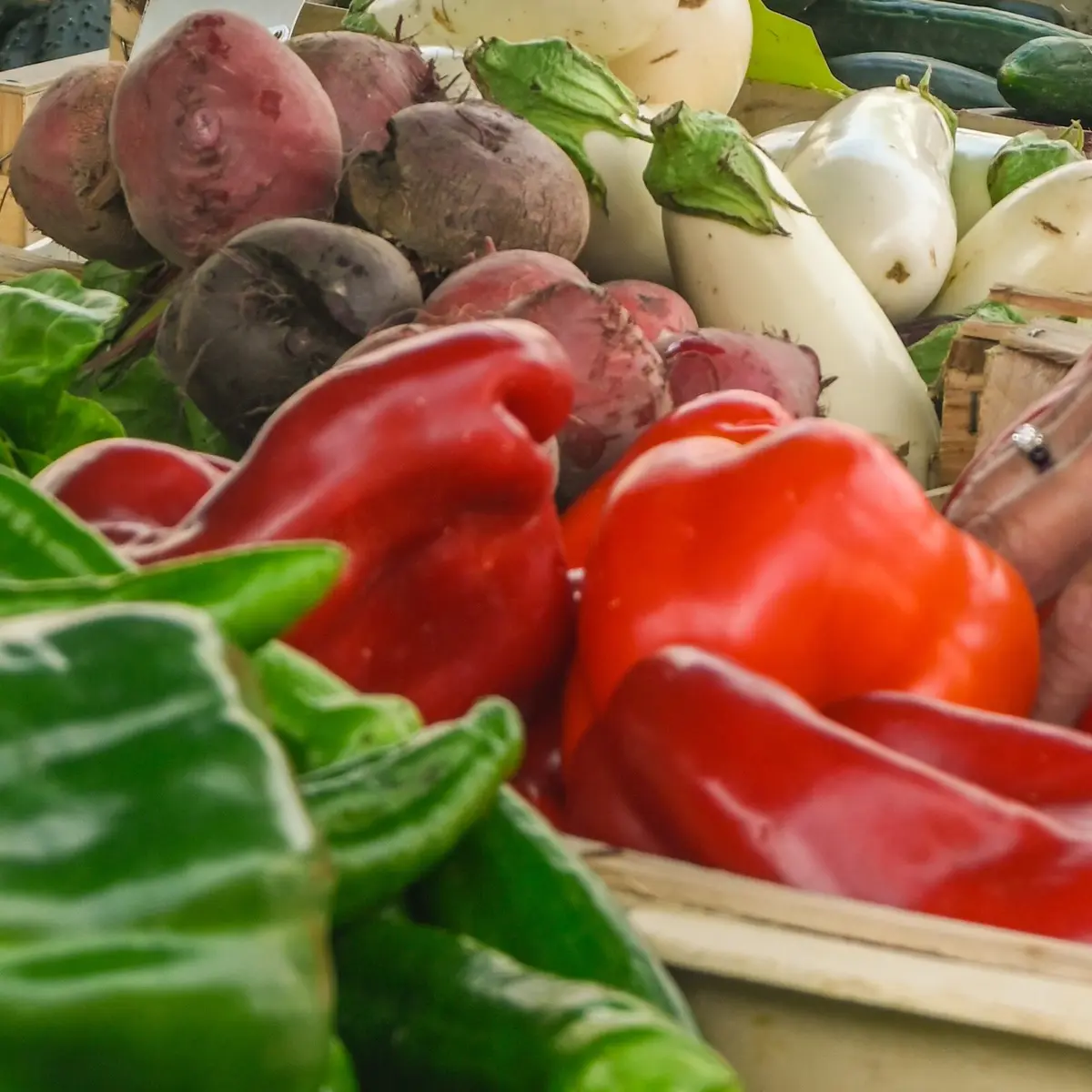 Marché 3