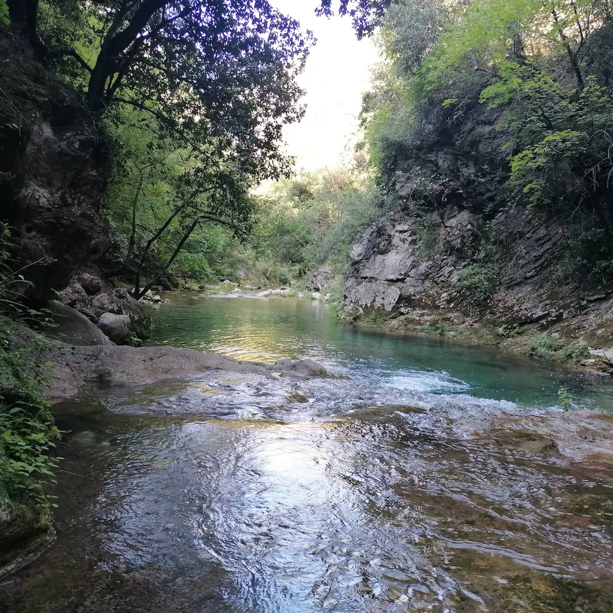 La Siagne