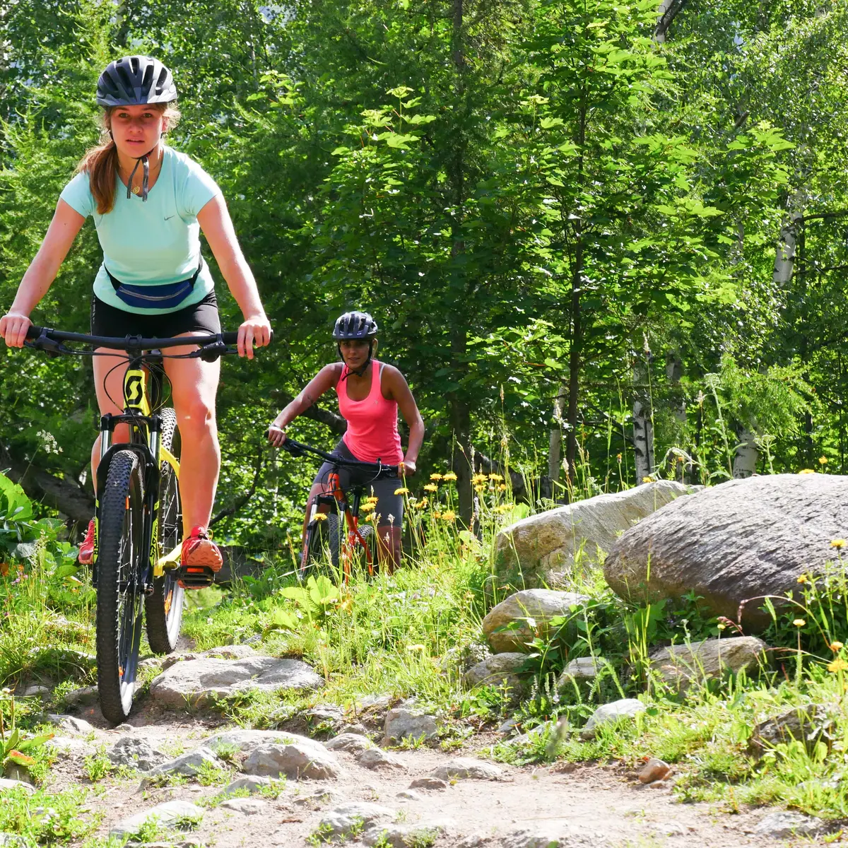 Evolution2-Chamonix-VTT