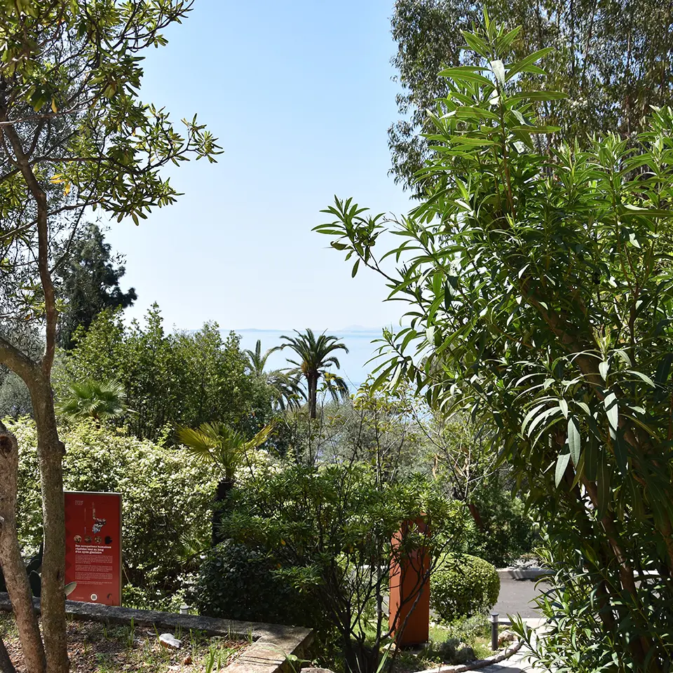 Le parc aux abords de la grotte