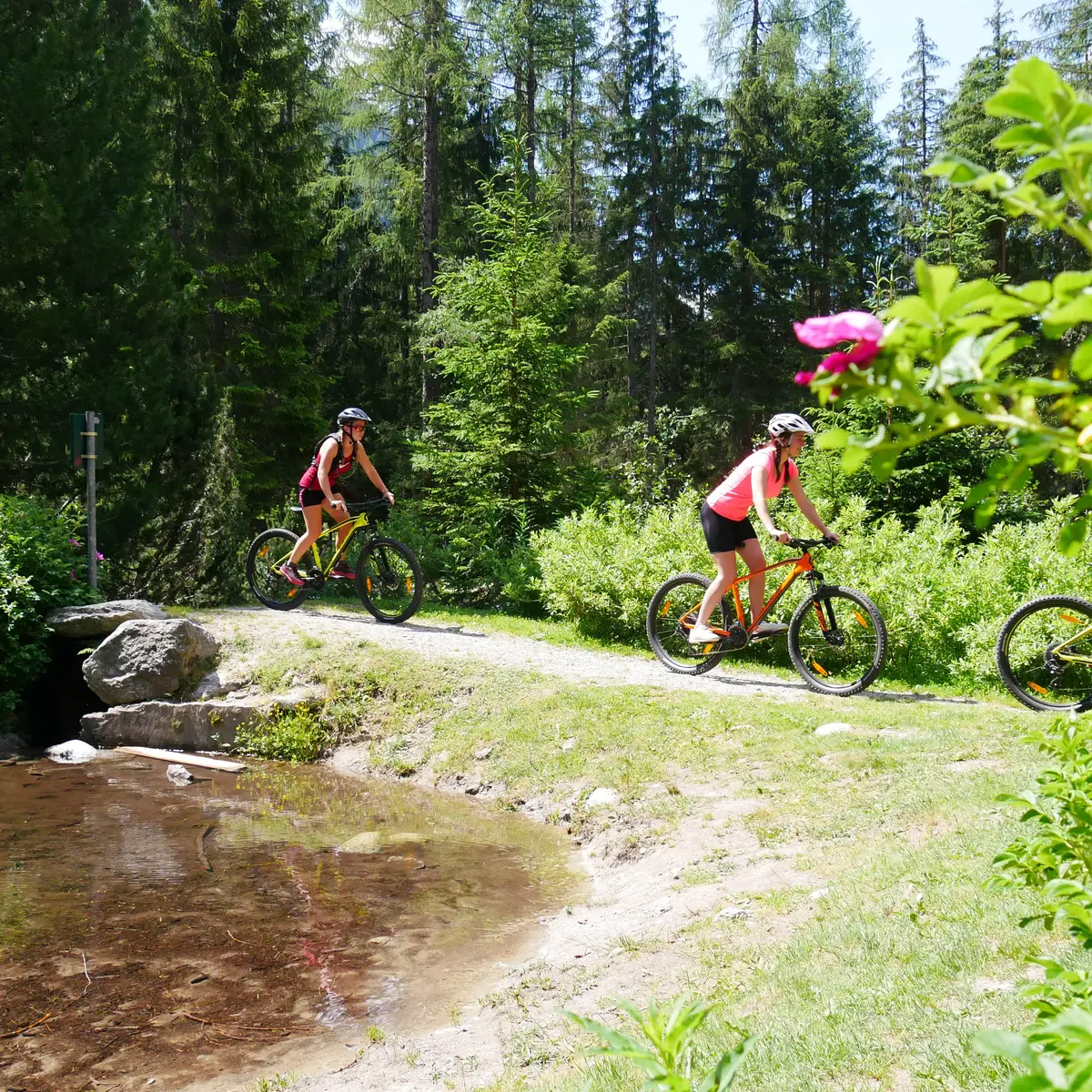 Evolution2-Chamonix-VTT