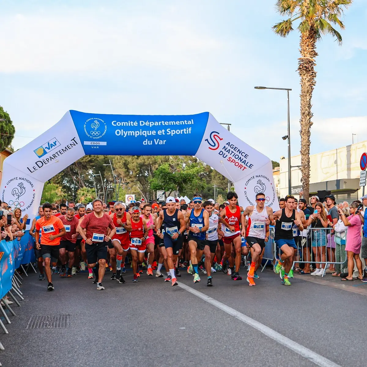 Les courses en Méditerranée Porte des Maures
