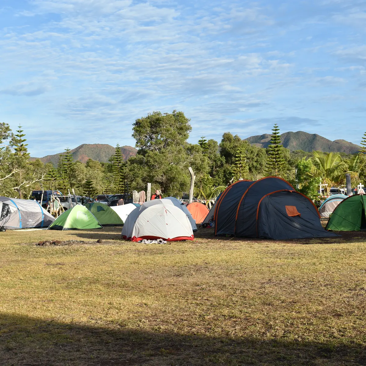 Un emplacement de camping spacieux, niché à proximité d'une forêt typique du Grand Sud Calédonien, au Cap N'Dua..