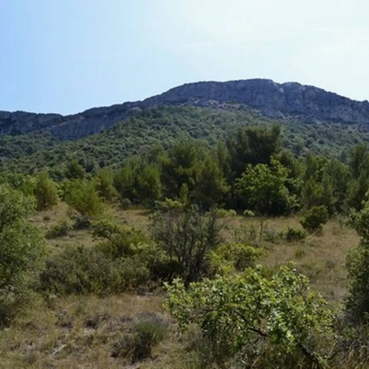 Aux pieds du Mont Aurélien