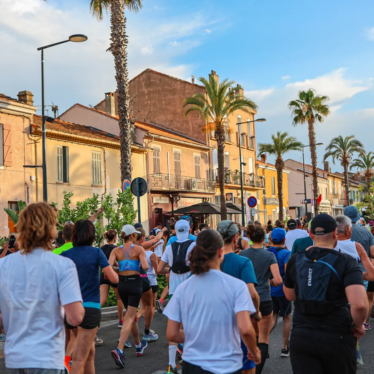 Les courses en Méditerranée Porte des Maures