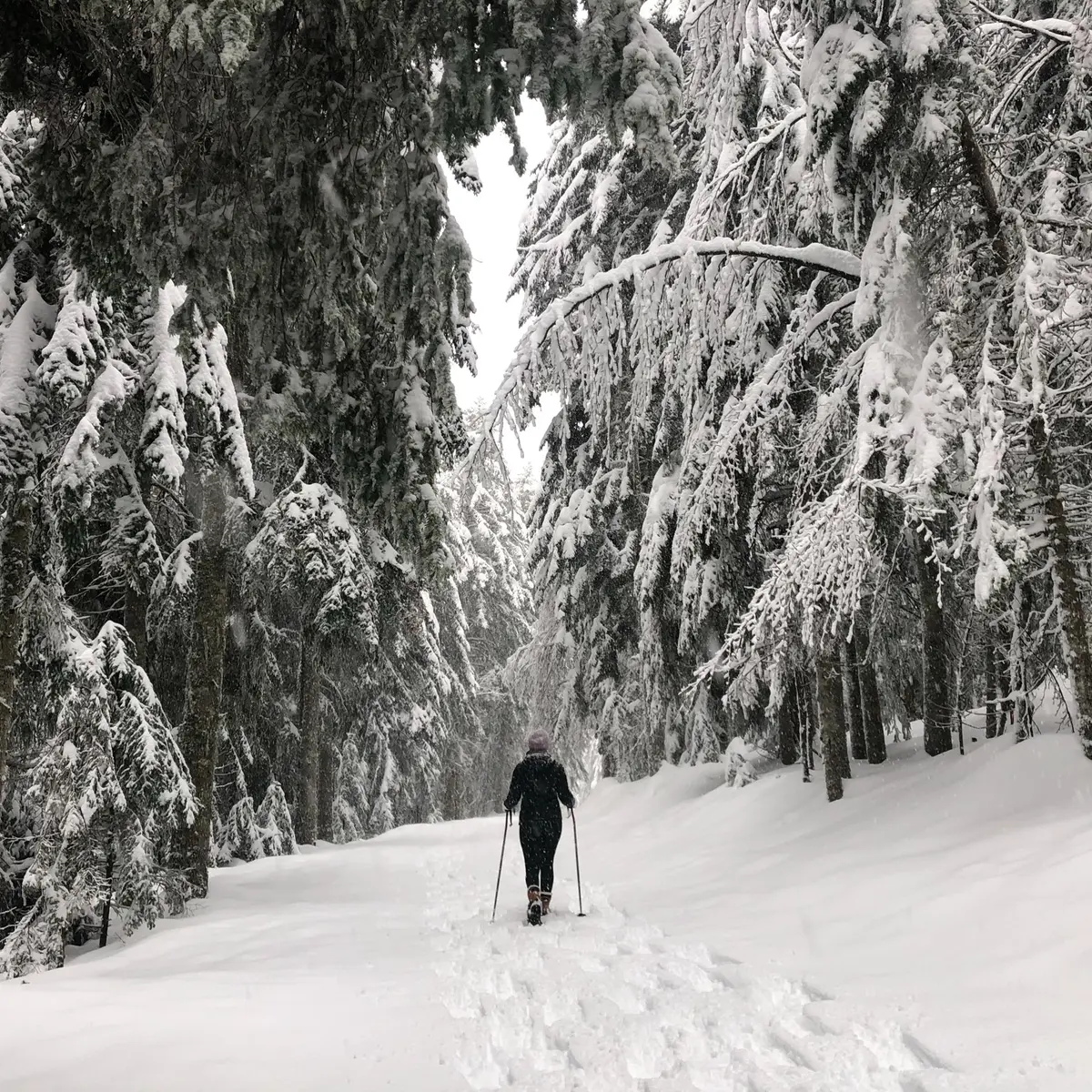 Station du Col de la Loge