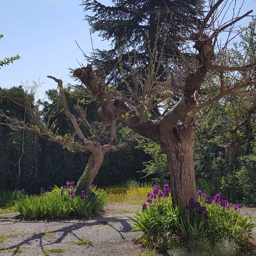 Résidence Sainte Annette