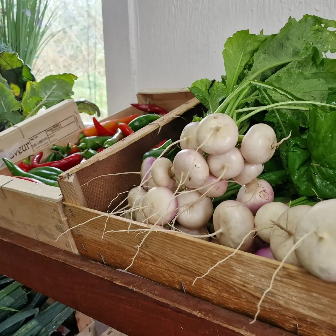 Légumes