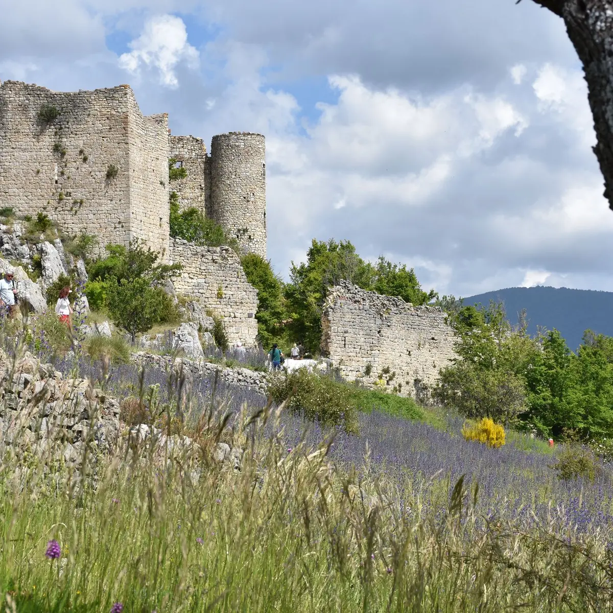 Château de Pontevès