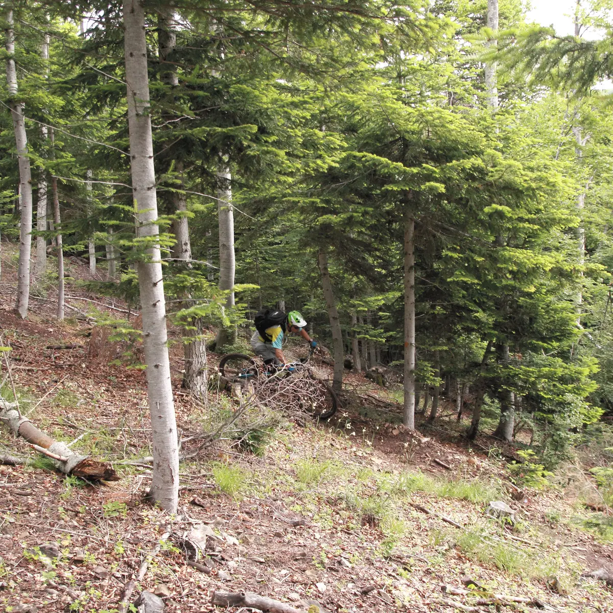 Parcours VTT Saint-Etienne-les-Orgues