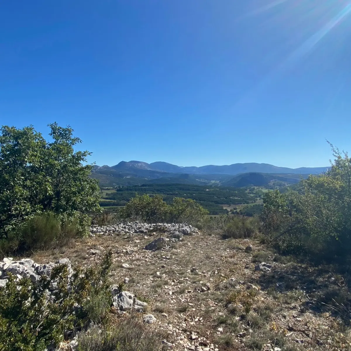 Point de vue sur la végétation et les collines en arrière-plan