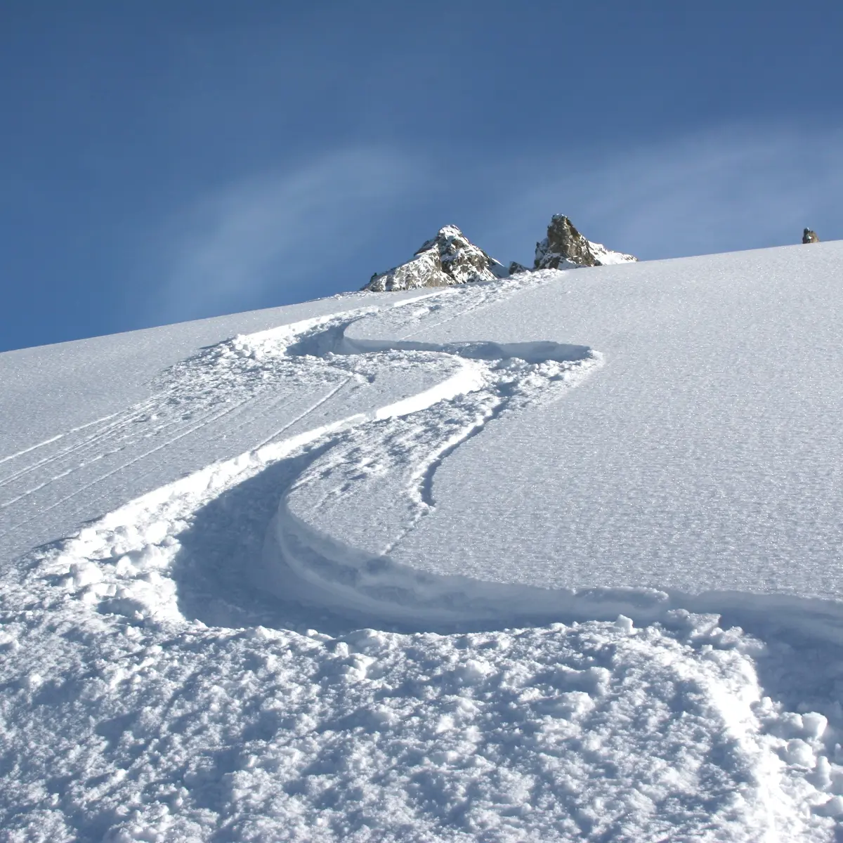 Ski hors piste, ski de randonnée