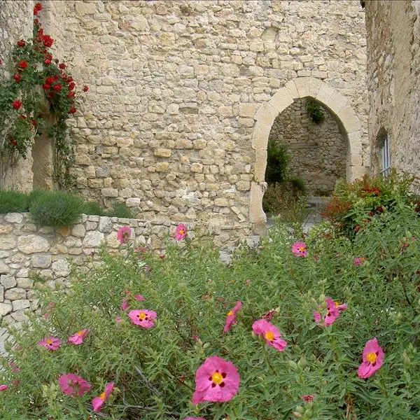 la porte du château