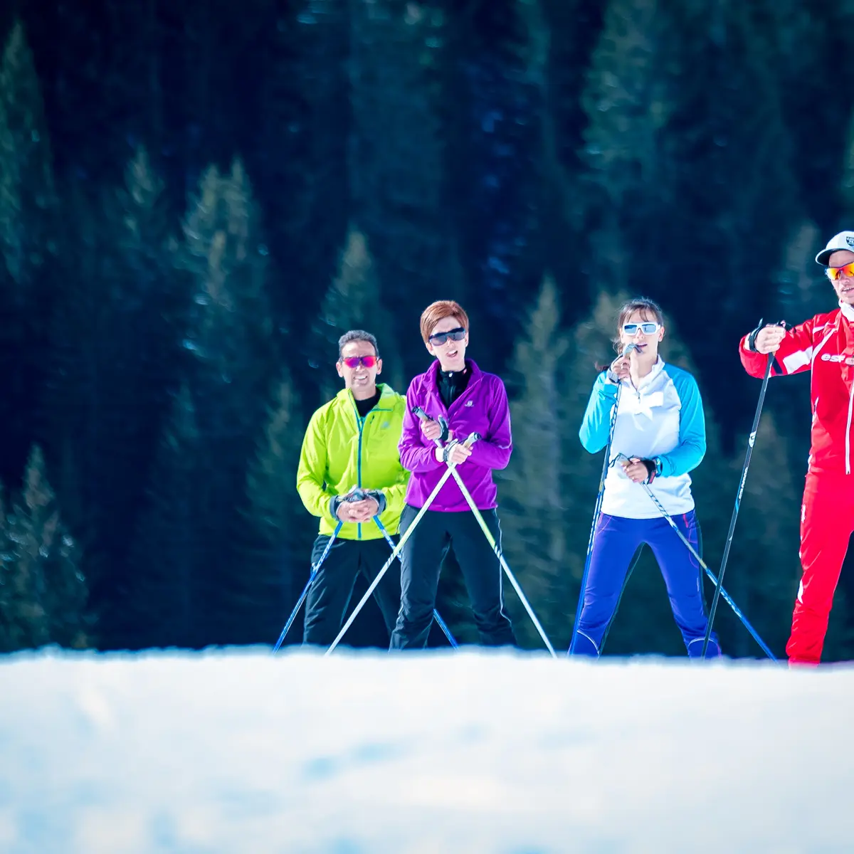 Cour de ski de fond pour adultes alpes