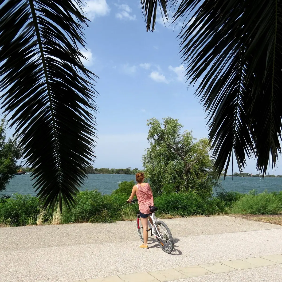 Cycliste sur les rives du Rhône