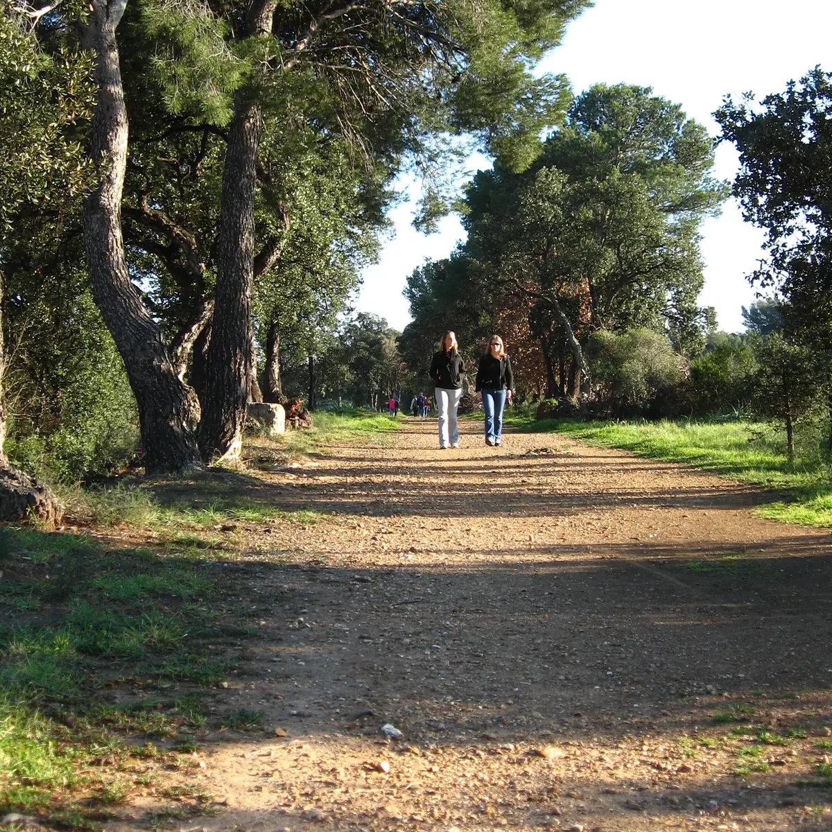 Sentier