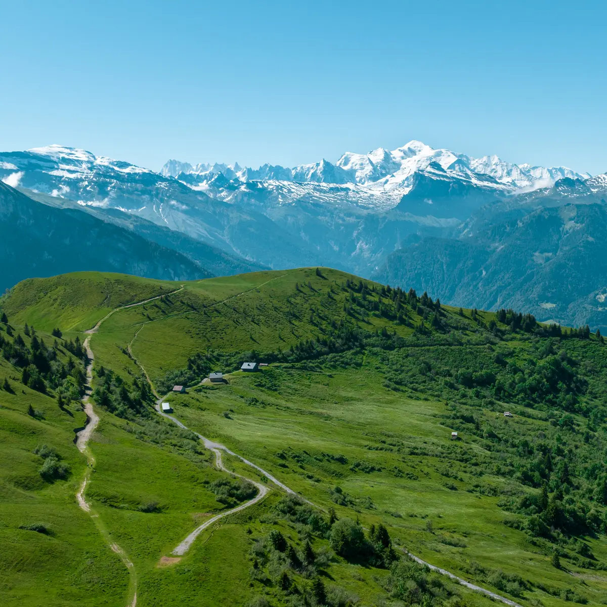 Joux Plane avec la vue sur le Mont Blanc