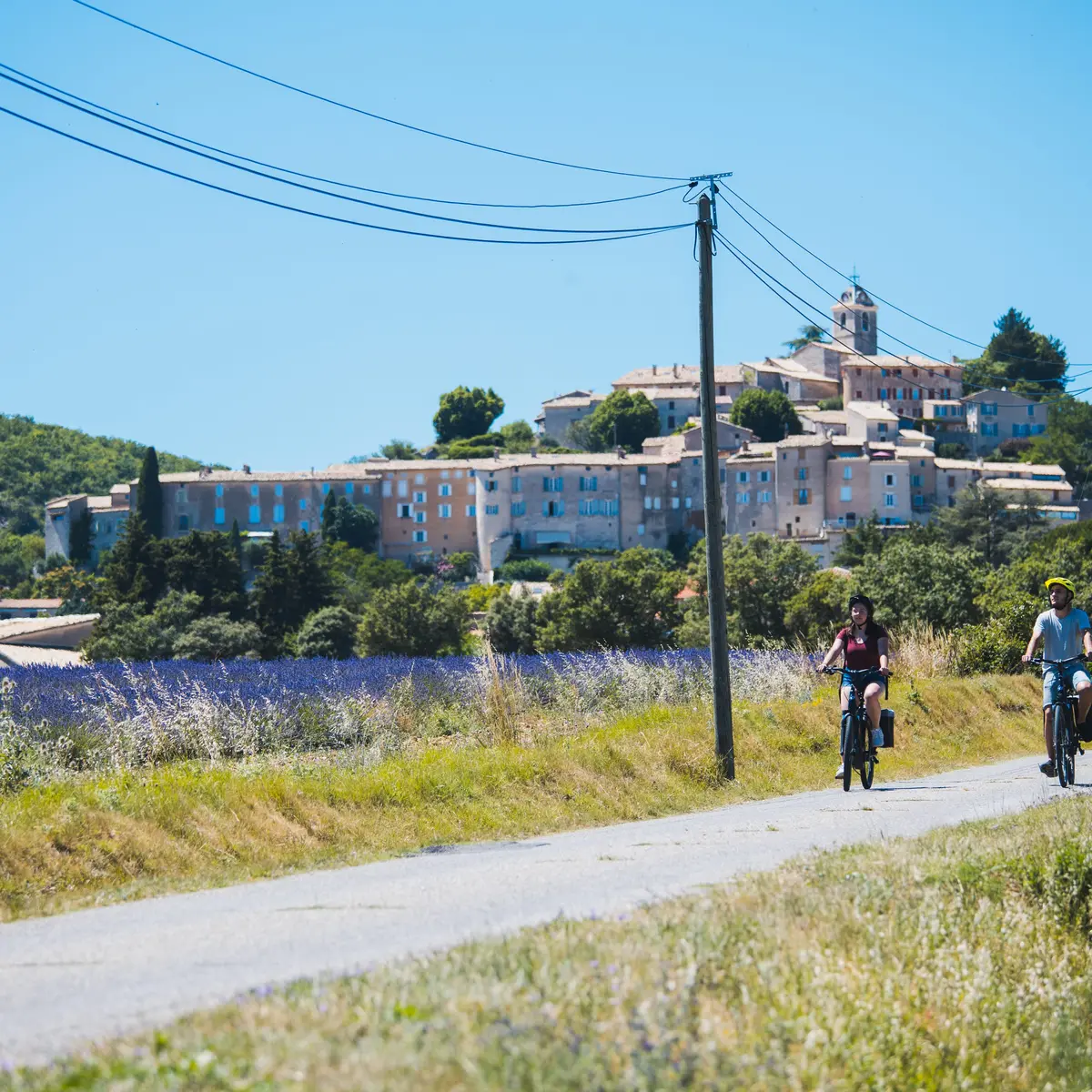 Lavande et vieilles pierres