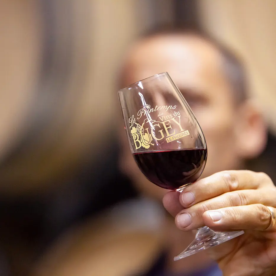Dégustation de vin du Bugey