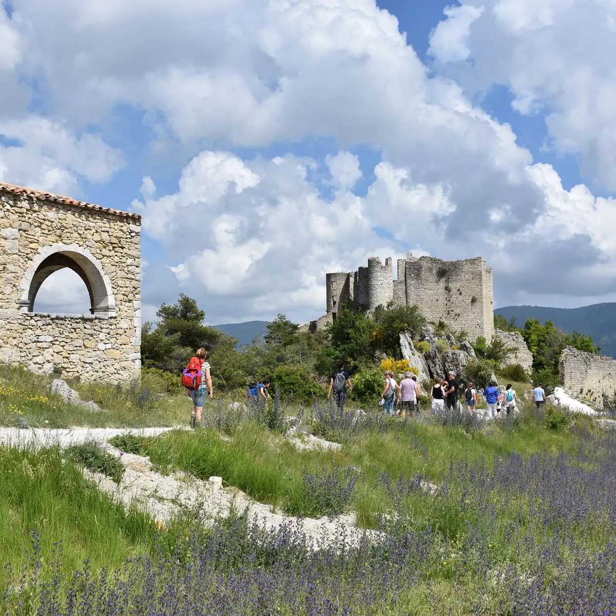 Château de Pontevès