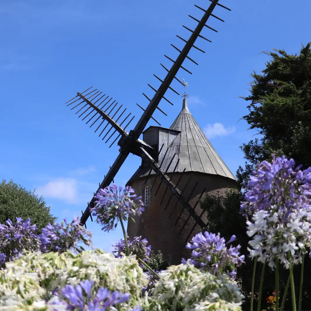 Bel Air Mill and colorful flowers