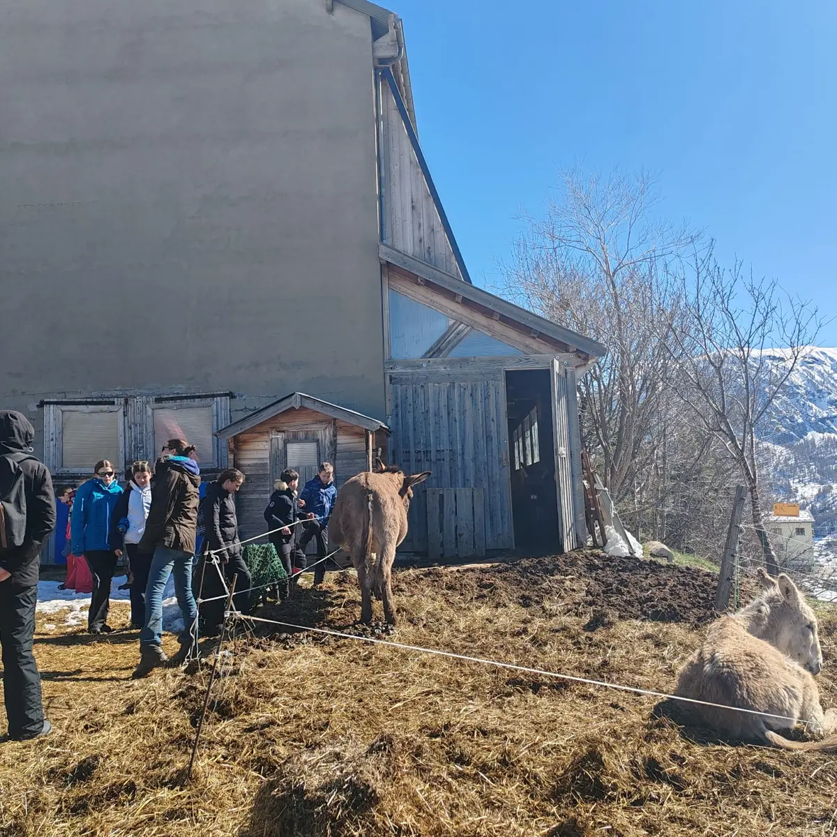 La Ferme Tout là Ô_Orcières