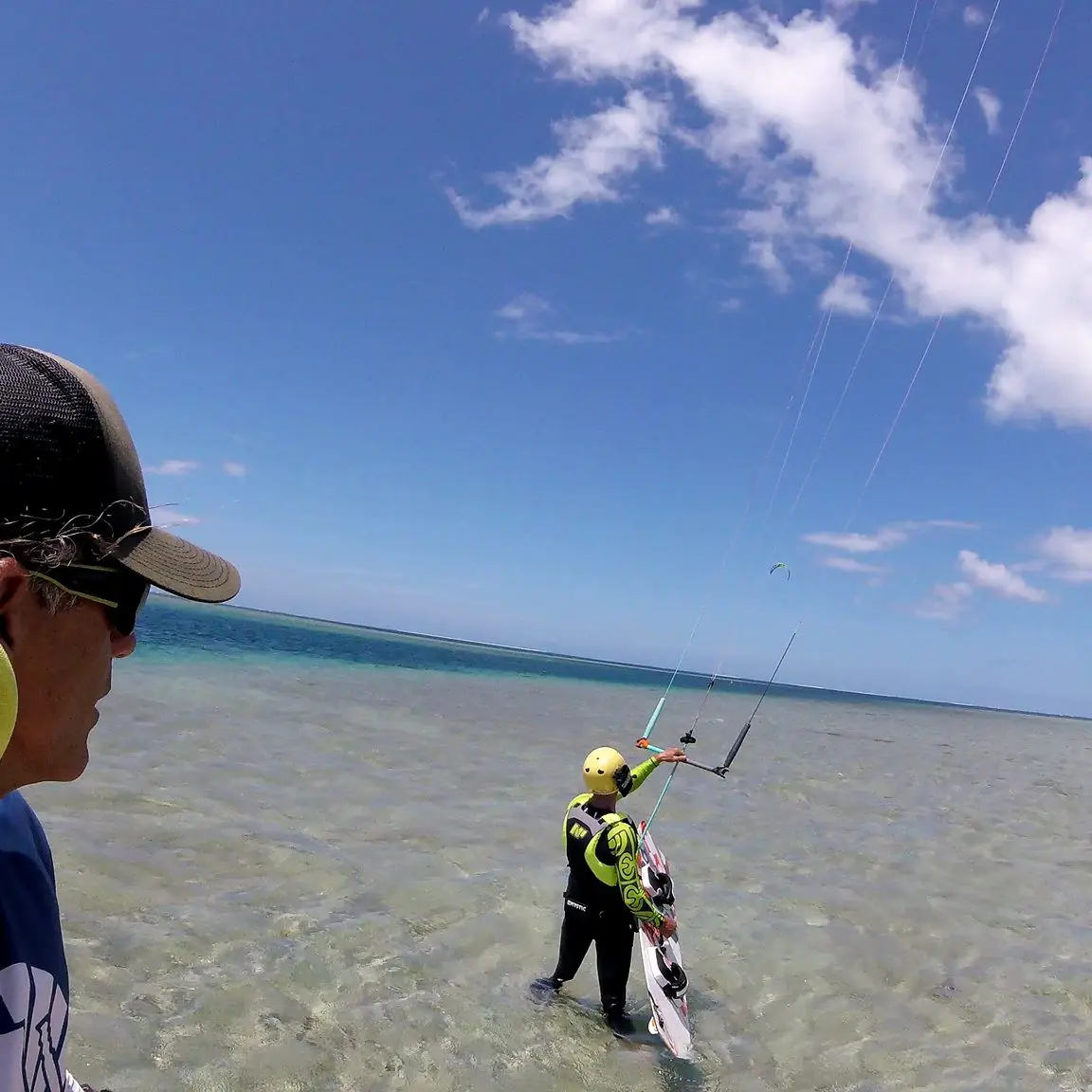 Pacific Kite